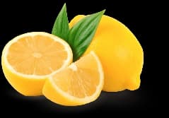 Golisoda USA Lemon Slices - Fresh Natural Goli Soda Ingredients