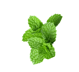 Gulpp Golisoda Virgin Mojito USA - Indian Marble Soda Wholesale